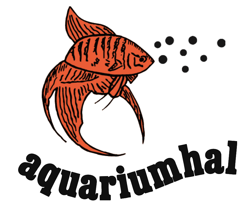 SN Media - Aquariumhal