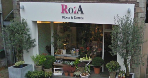 Roza Bloem & Decoratie